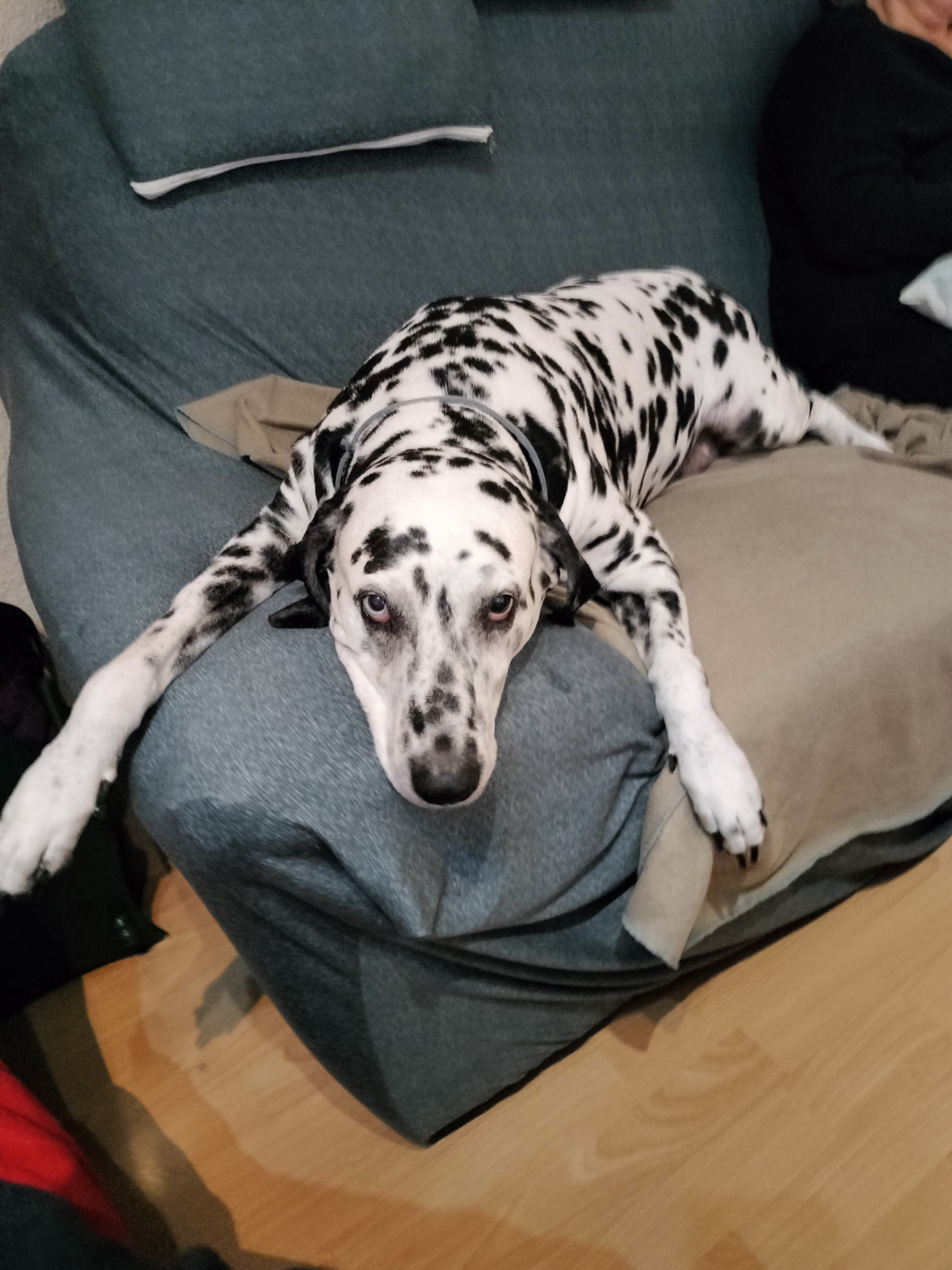 Lío en plena siesta