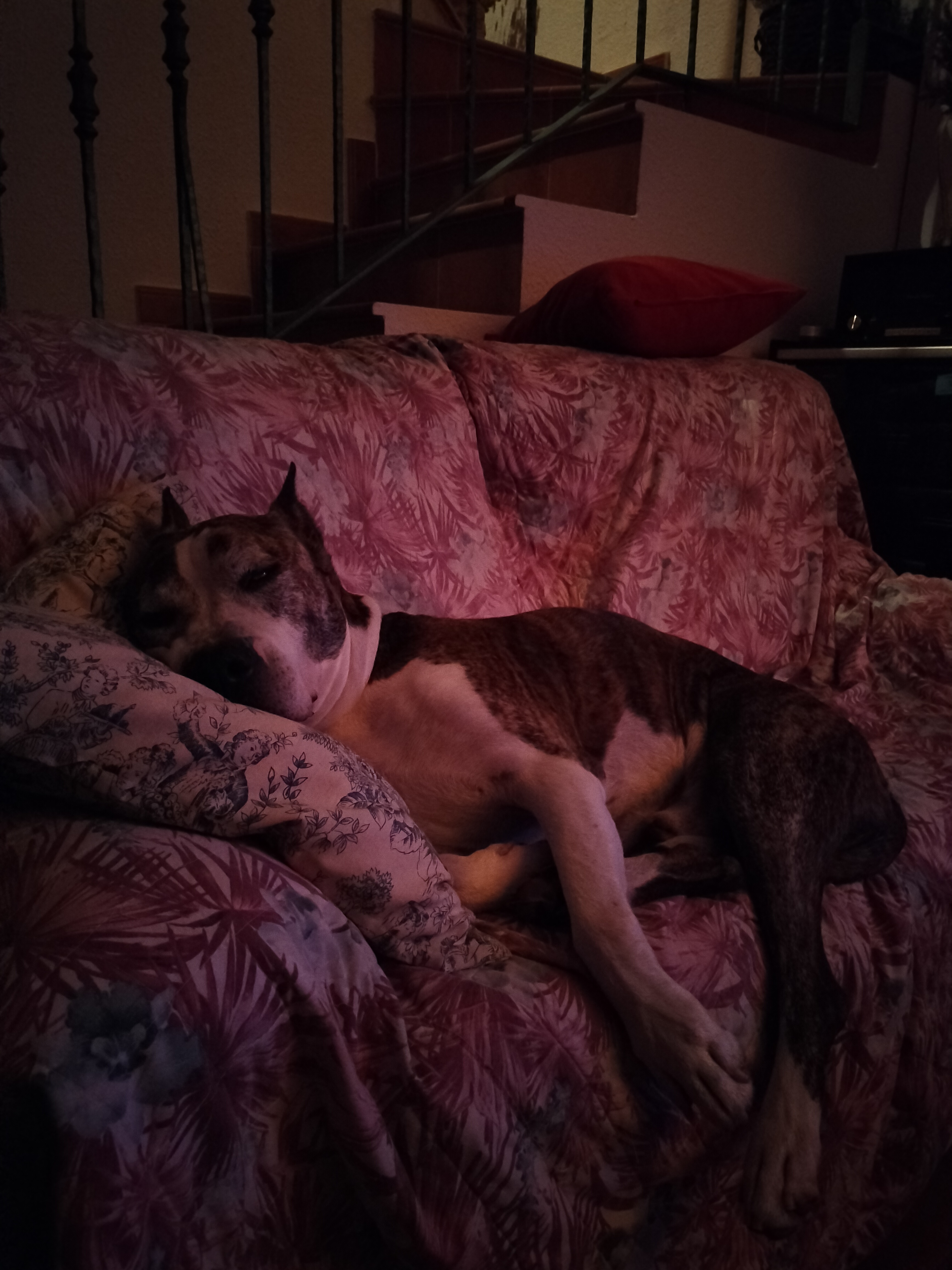 Momento de relajación